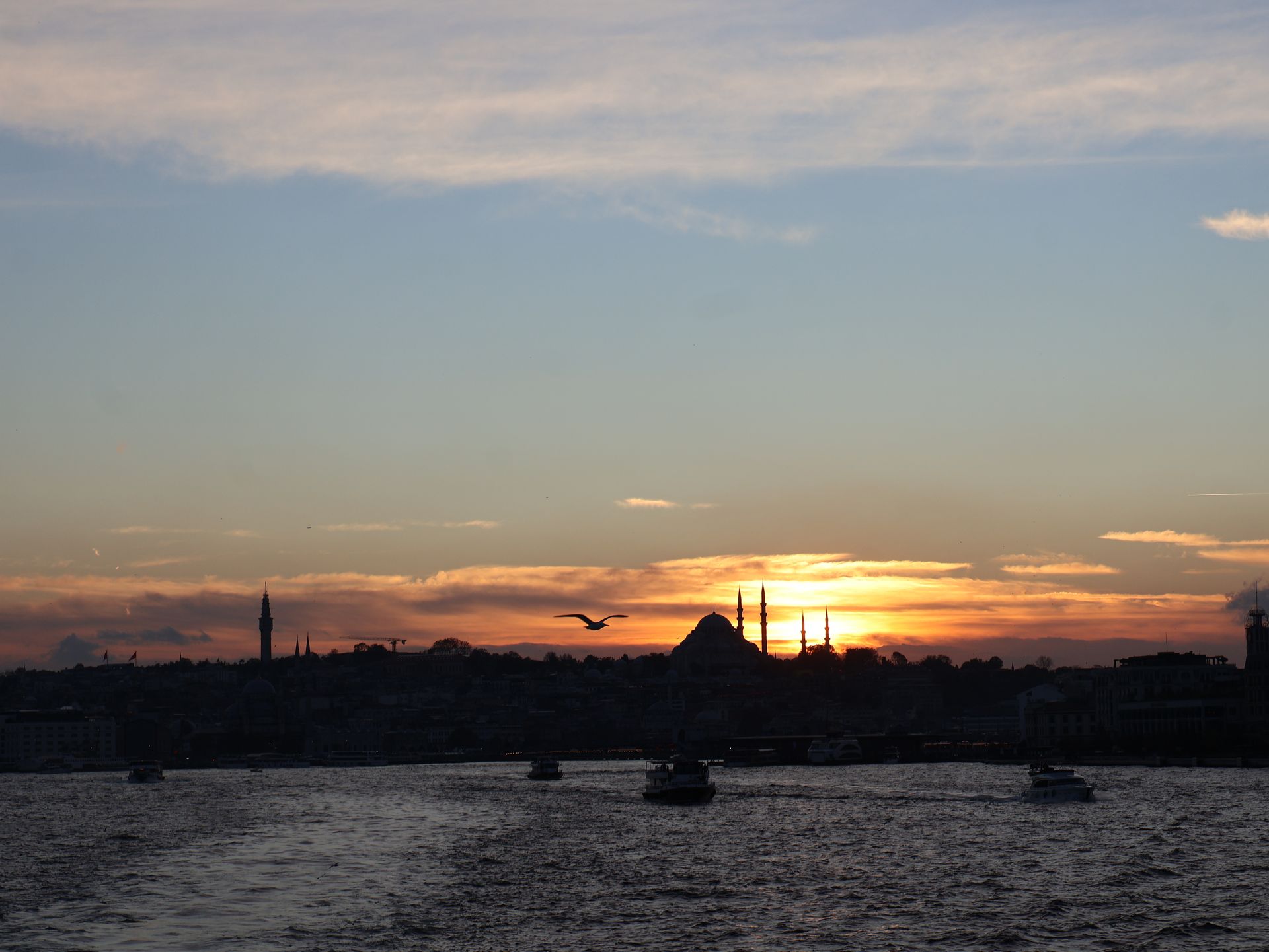 Dünya Mirası